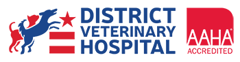 District Veterinary Hospital Home