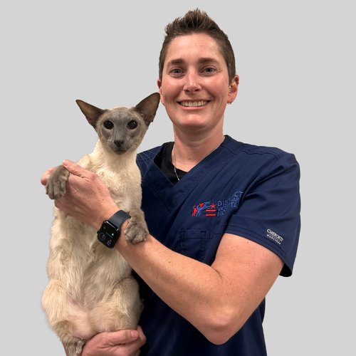 Dr. Amanda Evans