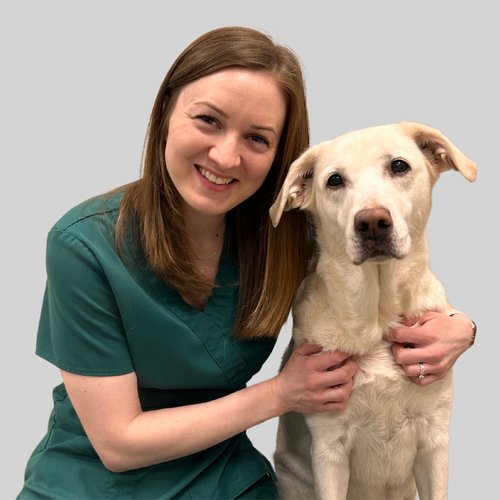 Dr. Rachael Frost