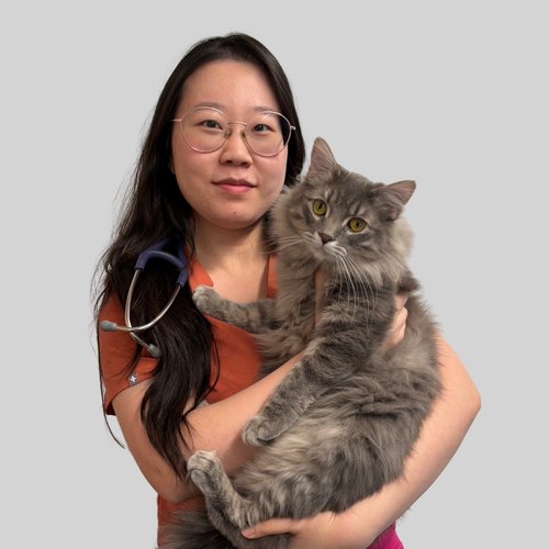 Dr. Yuri Lee