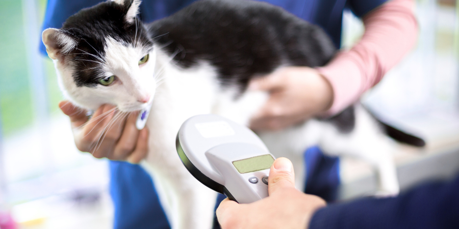 Microchipping (1) Microchipping-1